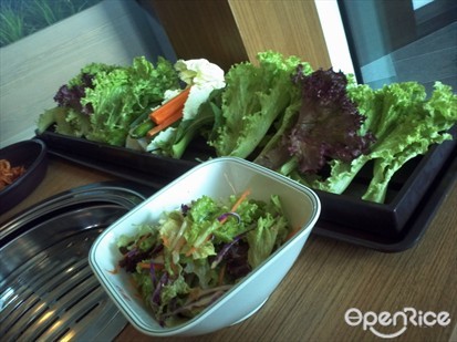 Vegetables Wrap