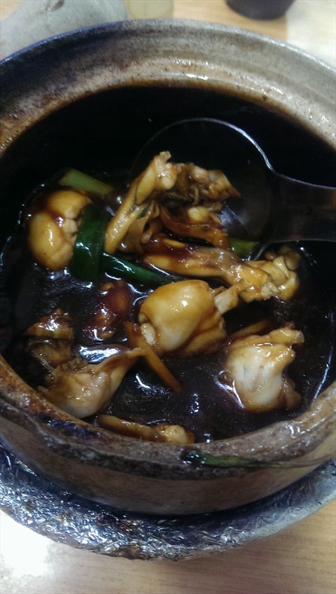 Ginger Spring Onion Frog
