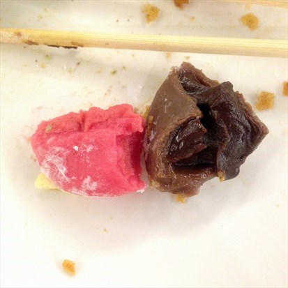 Chocolate and Strawberry Mochi